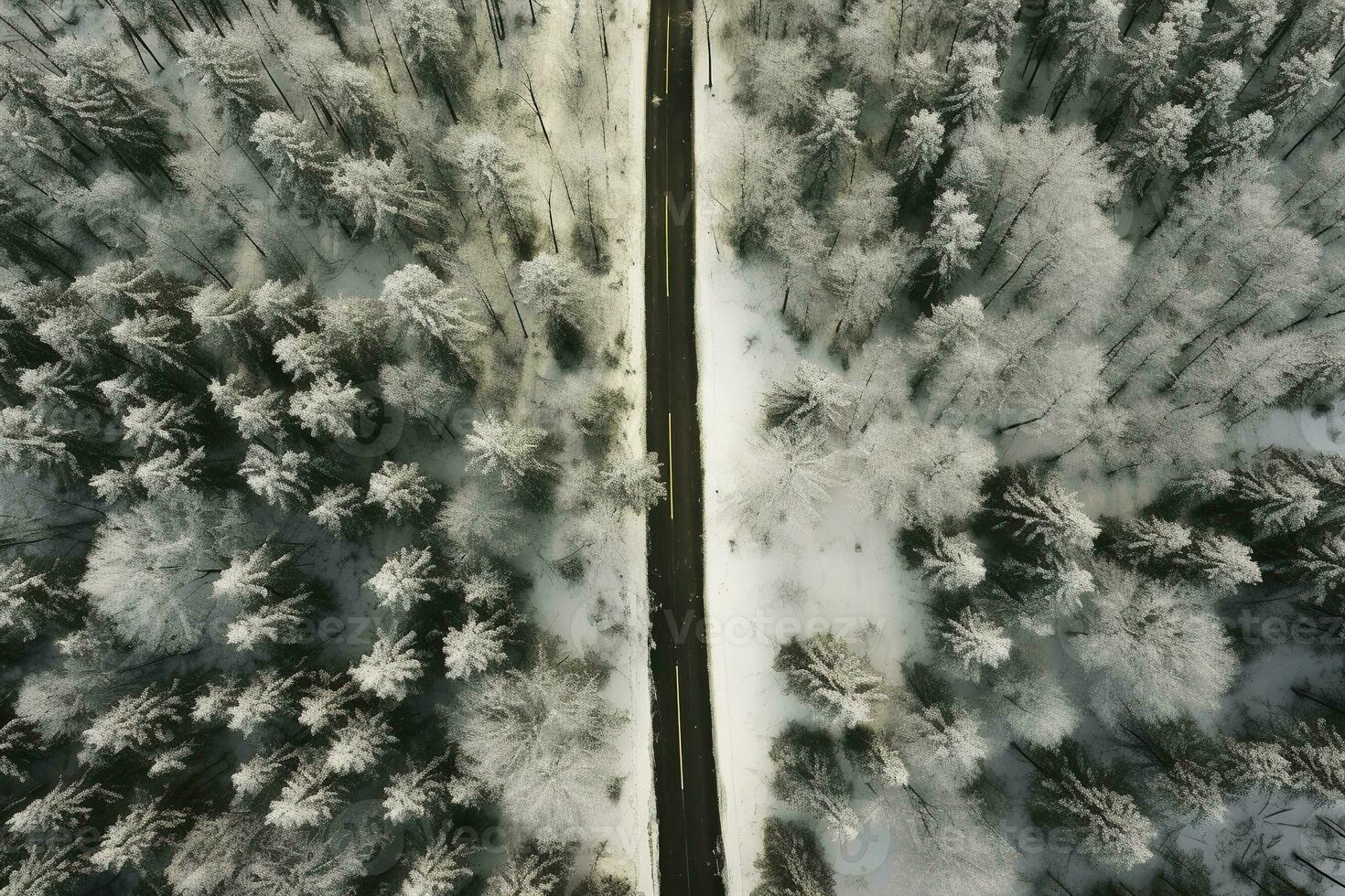 Aerial view of a highway winding through a forest in both summer and winter seasons. Generative AI photo