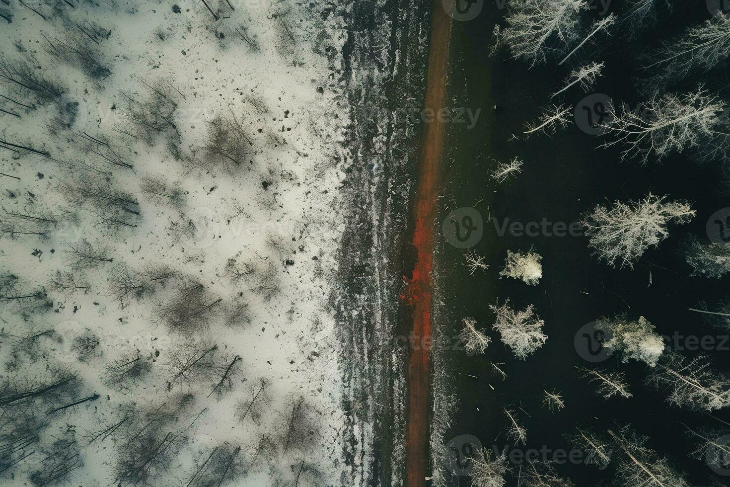 Aerial view of a highway winding through a forest in both summer and winter seasons. Generative AI photo