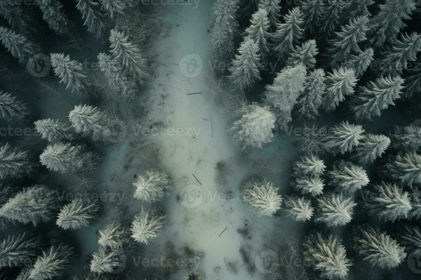 Aerial view of a highway winding through a forest in both summer and winter seasons. Generative AI photo