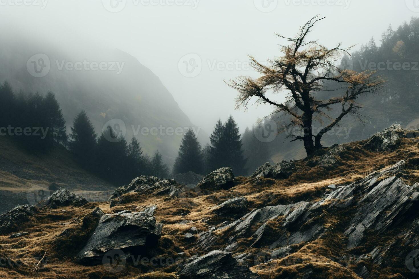 Spooky autumn mountains covered in fog, creating a mysterious and eerie atmosphere. Generative AI photo