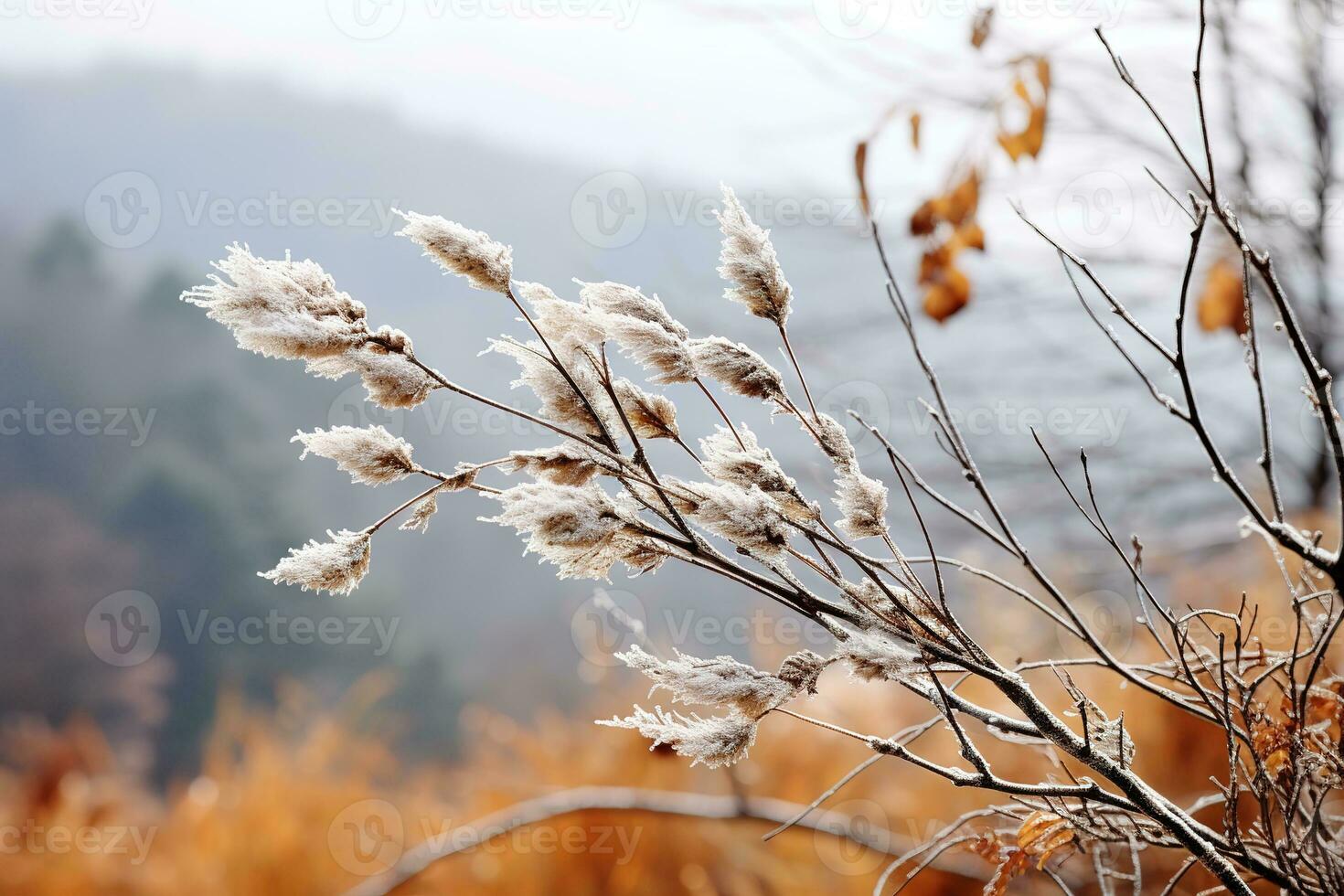 Gentle mountain forest breeze, snowy sky backdrop, swaying winter plants, and serene branches in a tranquil natural scene. Generative AI photo