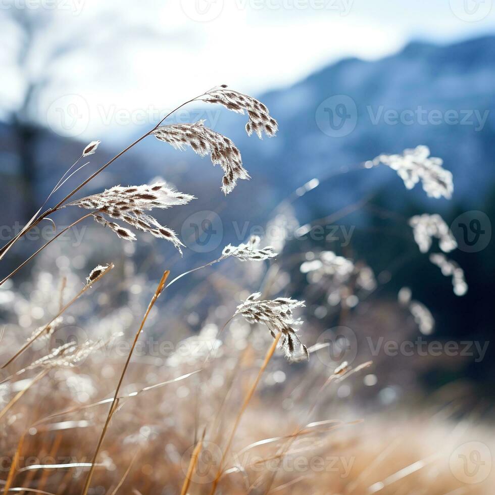 Gentle mountain forest breeze, snowy sky backdrop, swaying winter plants, and serene branches in a tranquil natural scene. Generative AI photo