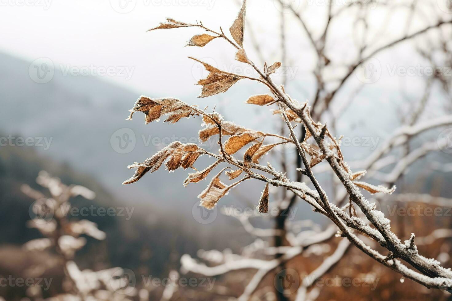 Gentle mountain forest breeze, snowy sky backdrop, swaying winter plants, and serene branches in a tranquil natural scene. Generative AI photo