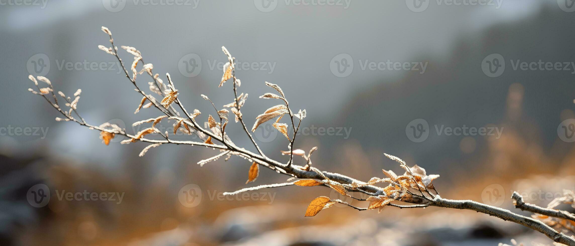 Gentle mountain forest breeze, snowy sky backdrop, swaying winter plants, and serene branches in a tranquil natural scene. Generative AI photo