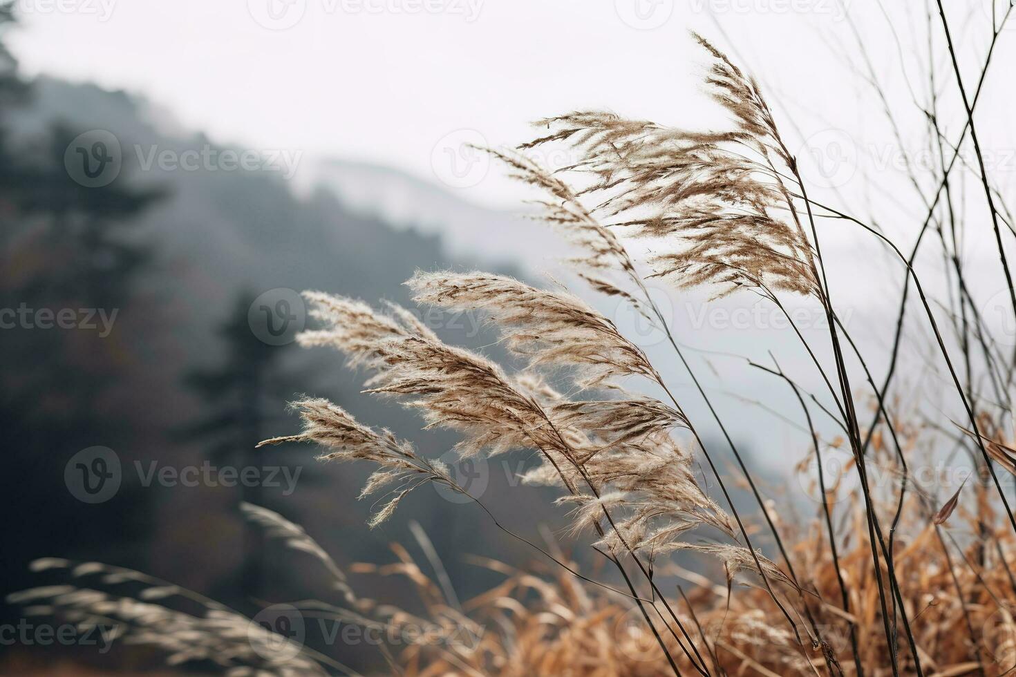 Gentle mountain forest breeze, snowy sky backdrop, swaying winter plants, and serene branches in a tranquil natural scene. Generative AI photo