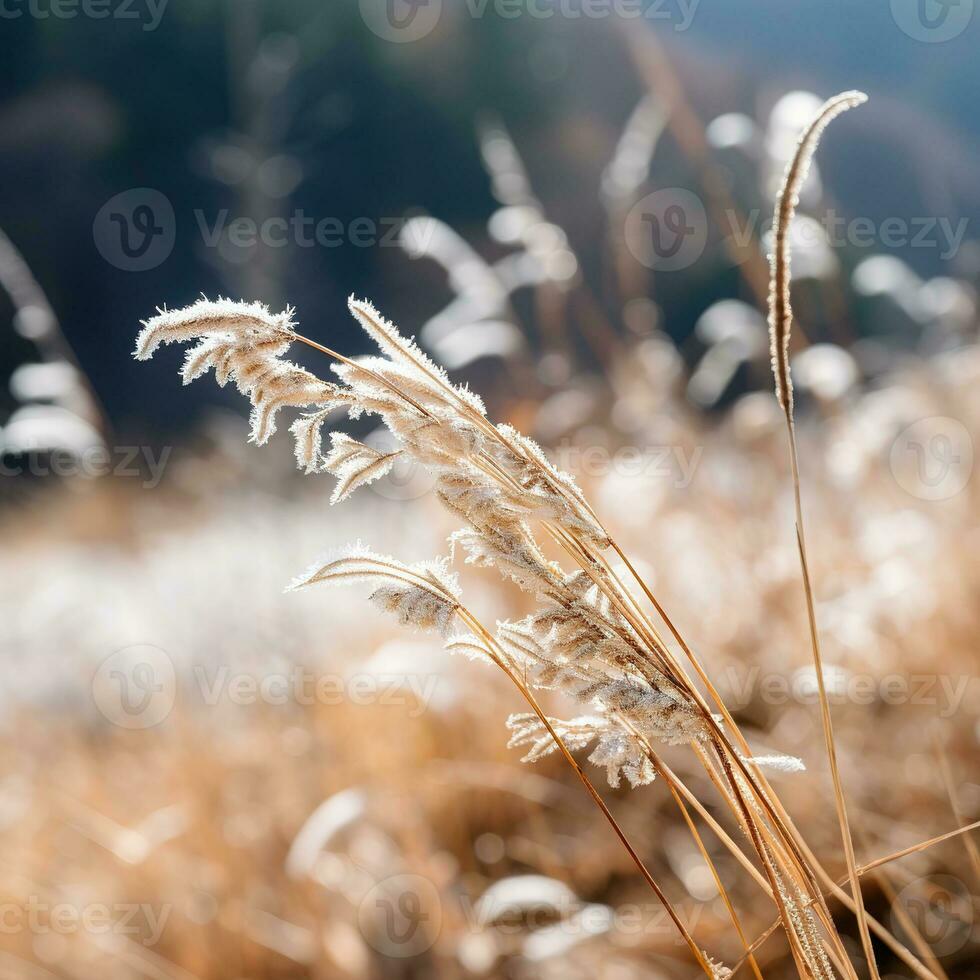 Gentle mountain forest breeze, snowy sky backdrop, swaying winter plants, and serene branches in a tranquil natural scene. Generative AI photo