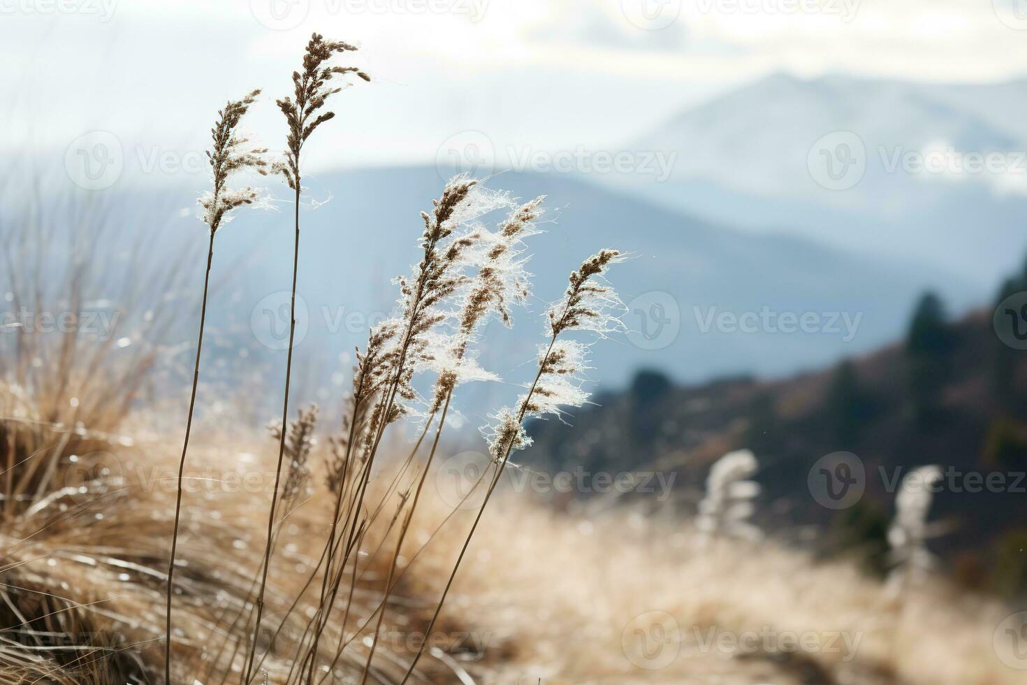 Gentle mountain forest breeze, snowy sky backdrop, swaying winter plants, and serene branches in a tranquil natural scene. Generative AI photo