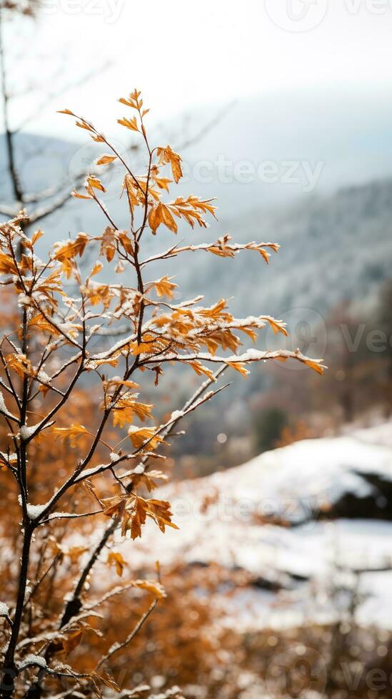 Gentle mountain forest breeze, snowy sky backdrop, swaying winter plants, and serene branches in a tranquil natural scene. Generative AI photo