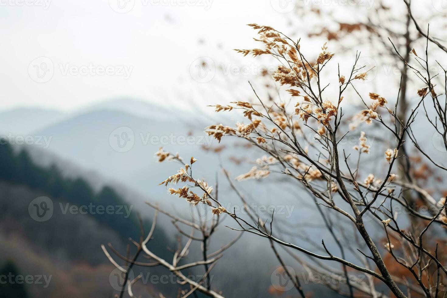 Gentle mountain forest breeze, snowy sky backdrop, swaying winter plants, and serene branches in a tranquil natural scene. Generative AI photo
