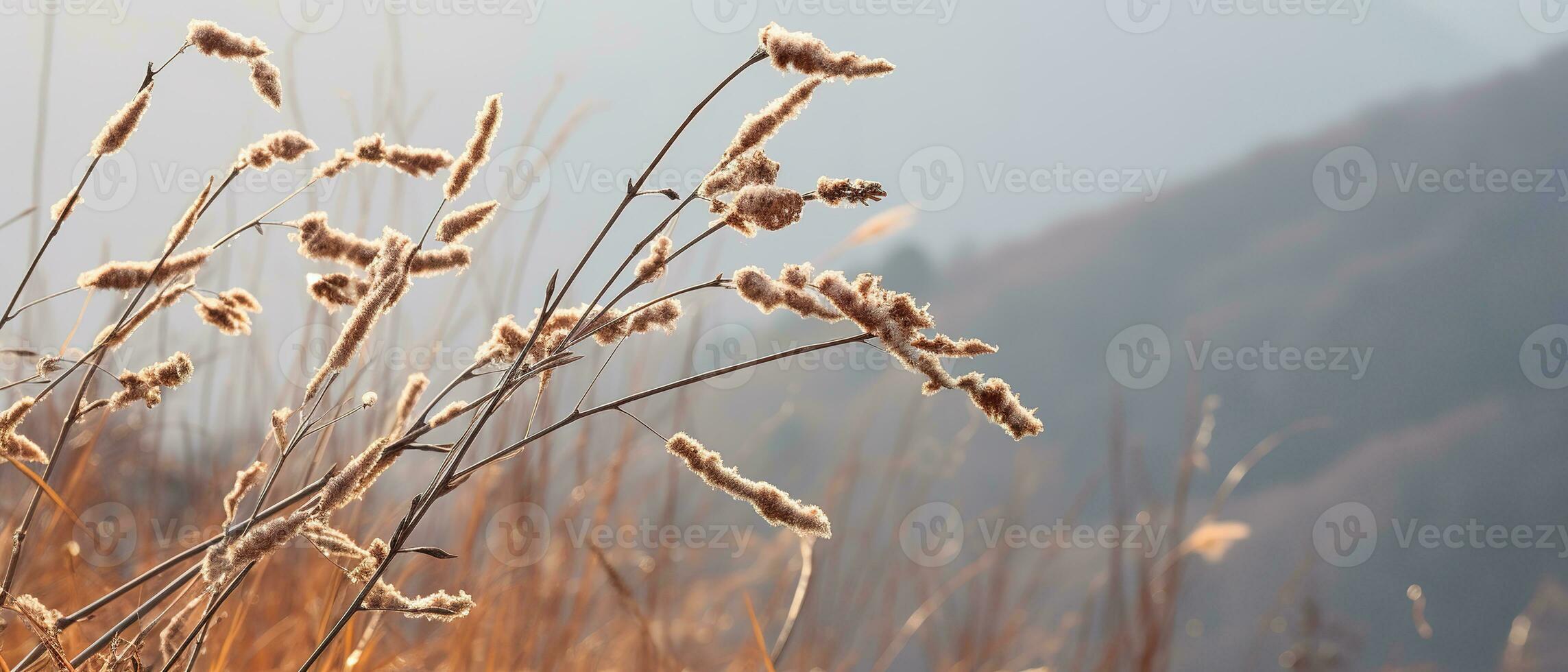 Gentle mountain forest breeze, snowy sky backdrop, swaying winter plants, and serene branches in a tranquil natural scene. Generative AI photo