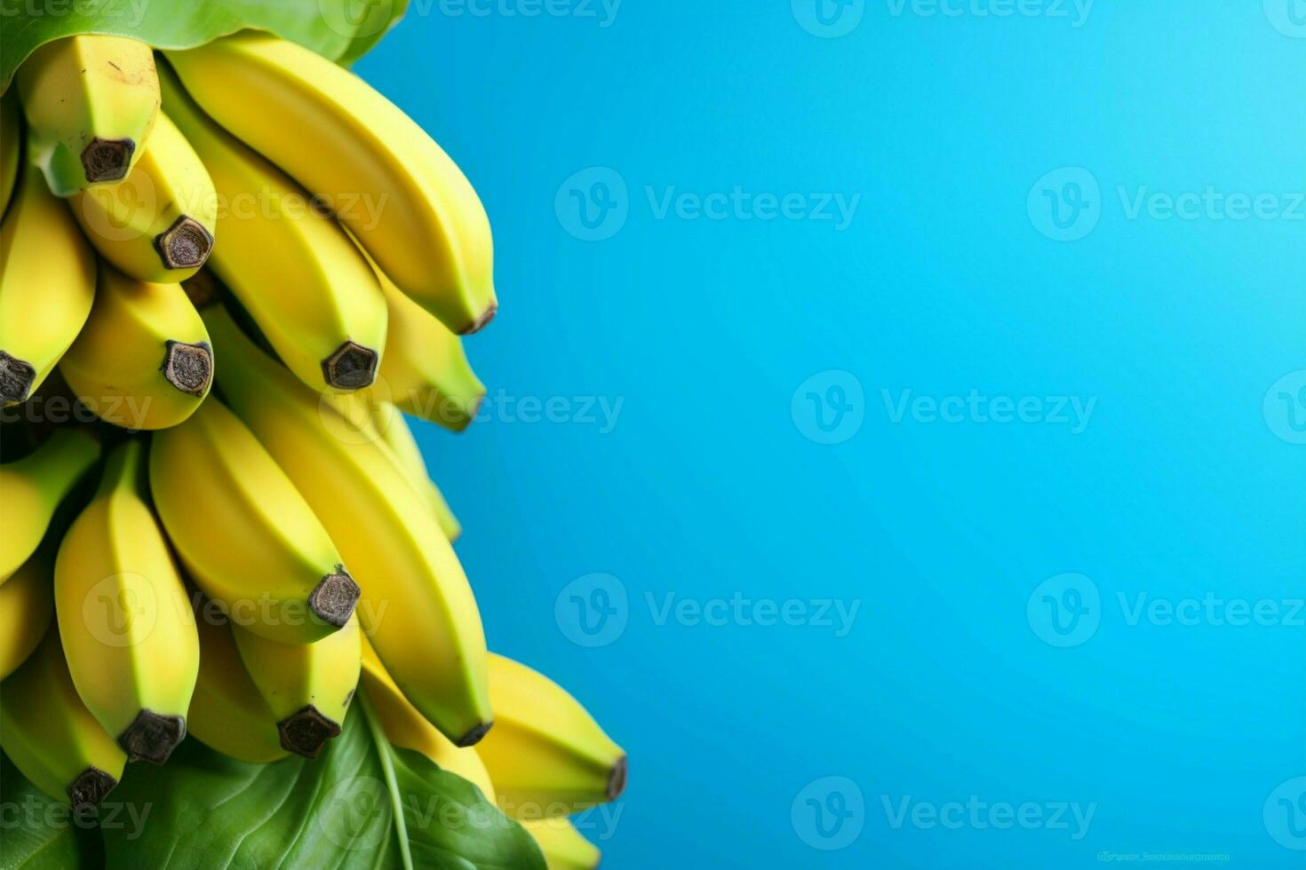 A backdrop of lush bananas against a serene blue banner AI Generated photo