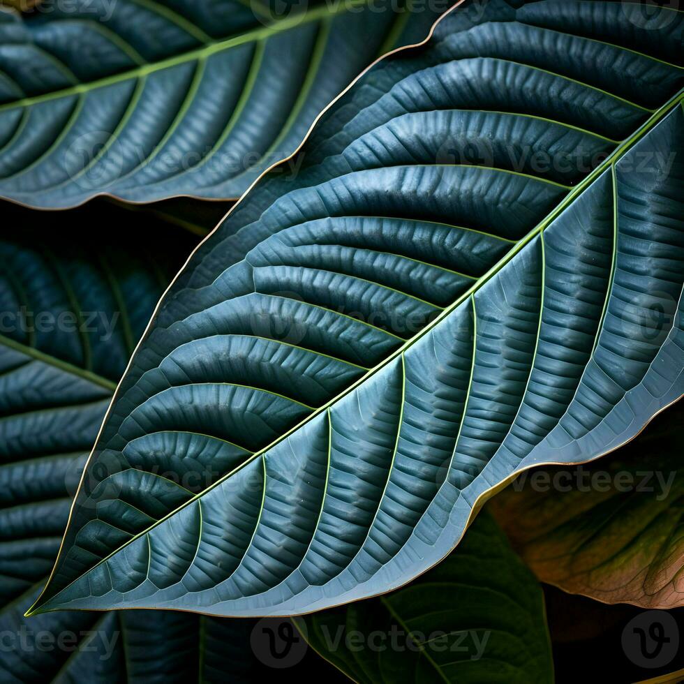 Close shot of blue leaves texture. High-resolution. AI Generative photo