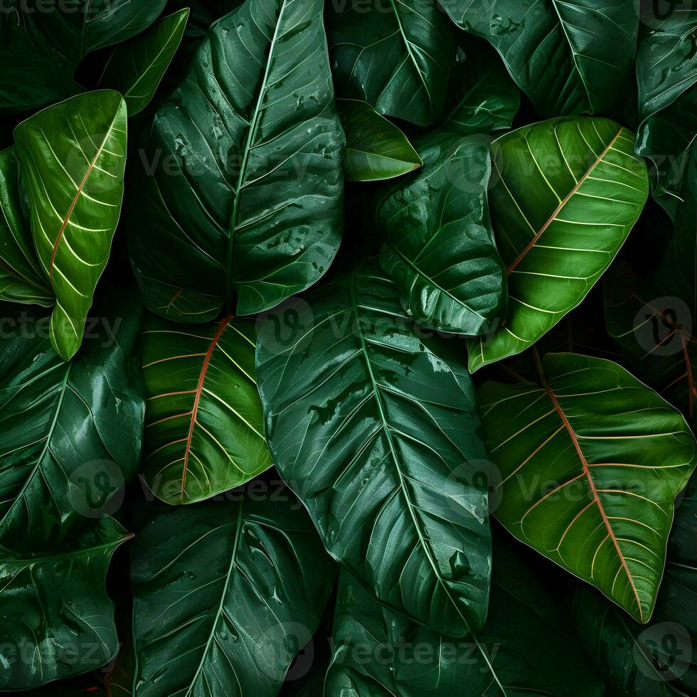 Close shot of green leaves texture. High-resolution. AI Generative photo