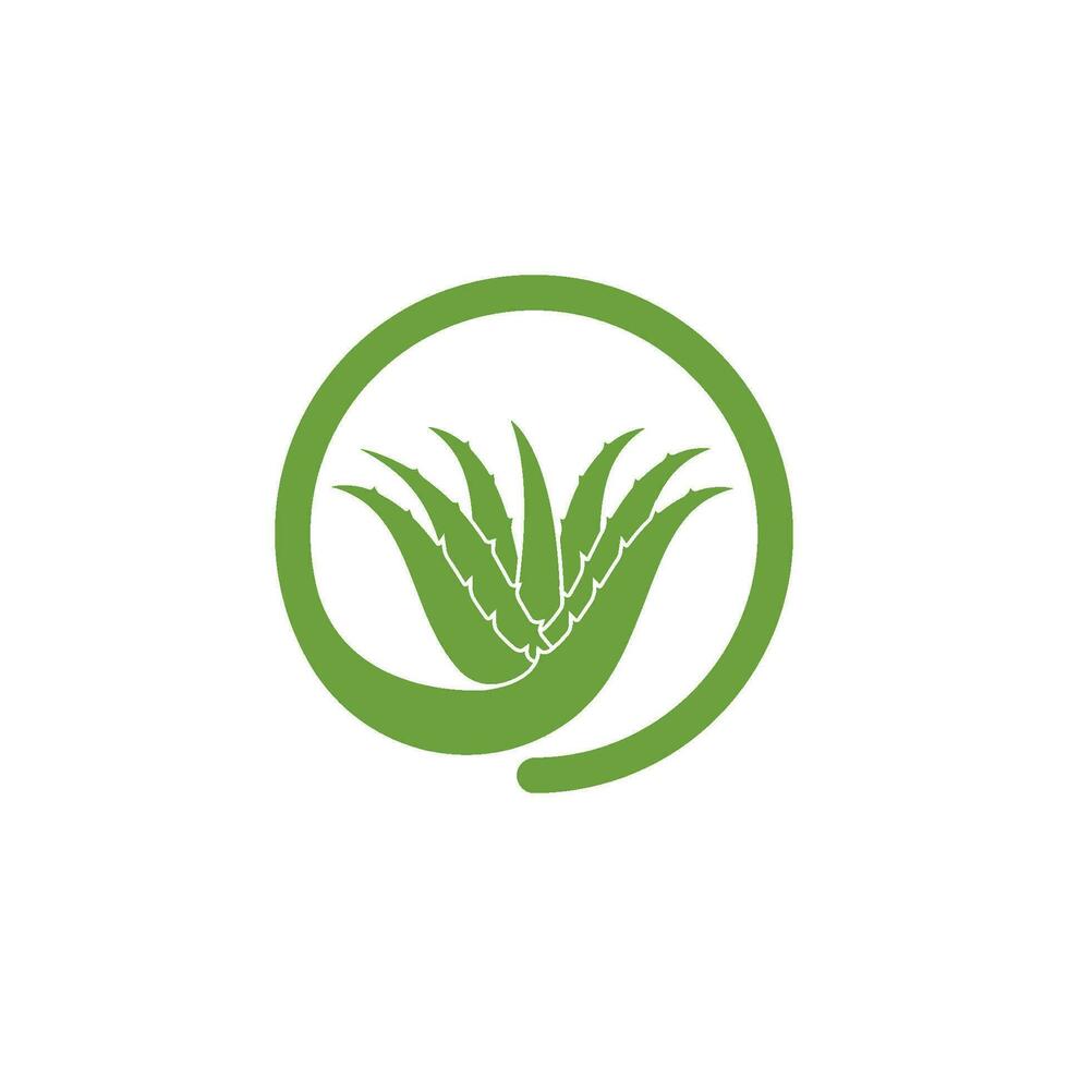 Aloevera logo icono diseño ilustración vectorial vector