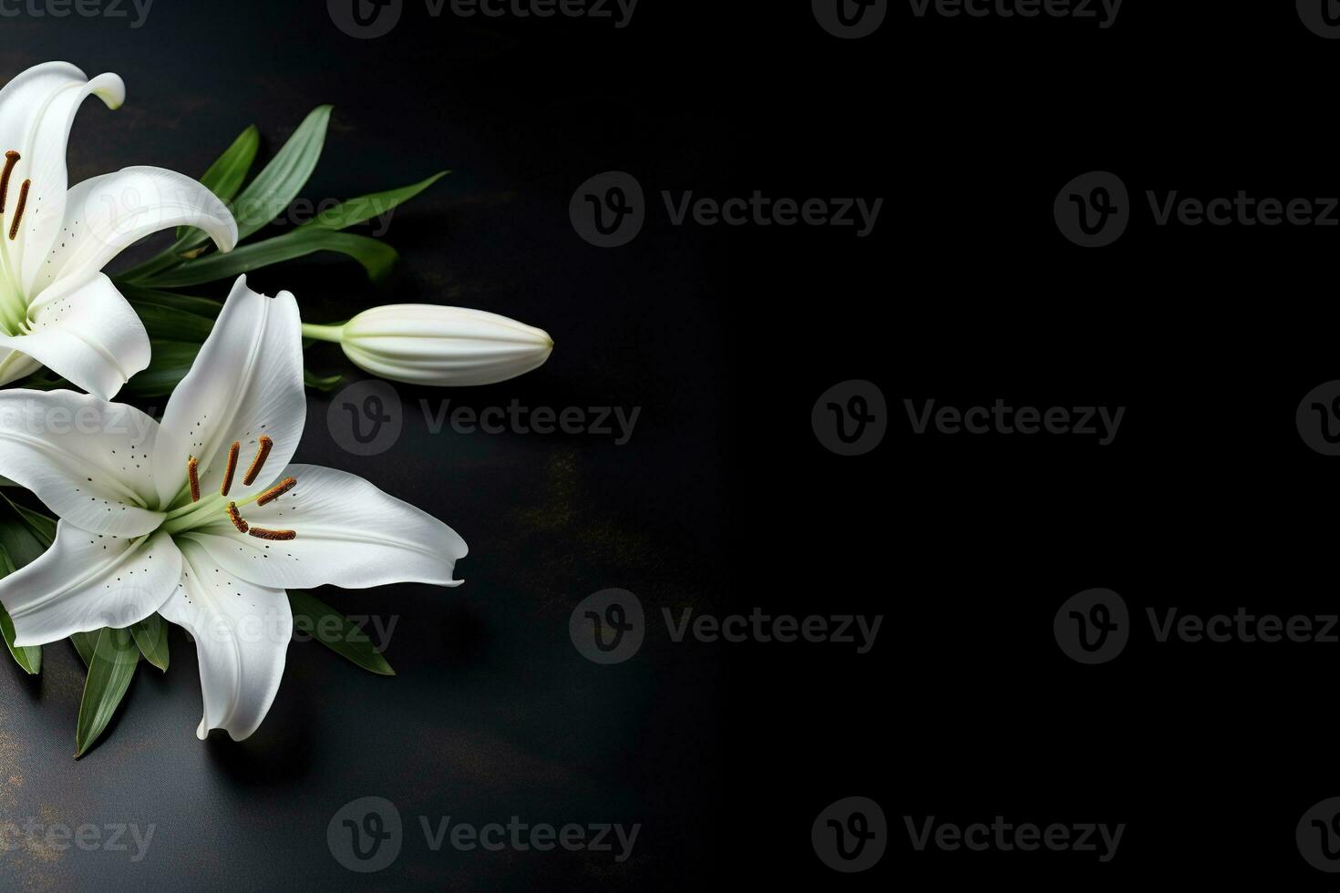 Beautiful white lily flowers on black background with copy space.Funeral Concept AI generated photo
