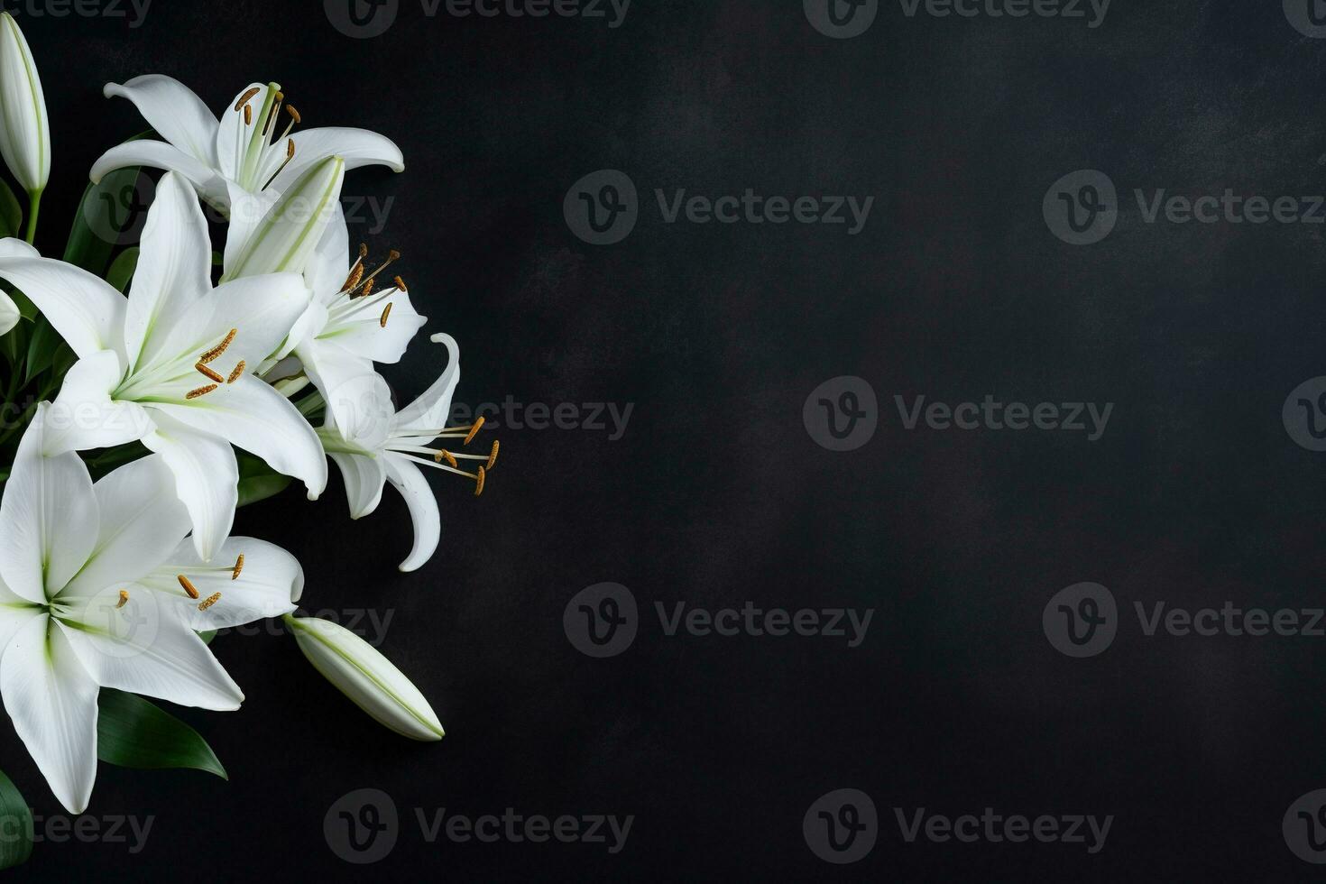 Beautiful white lily flowers on black background with copy space.Funeral Concept AI generated photo