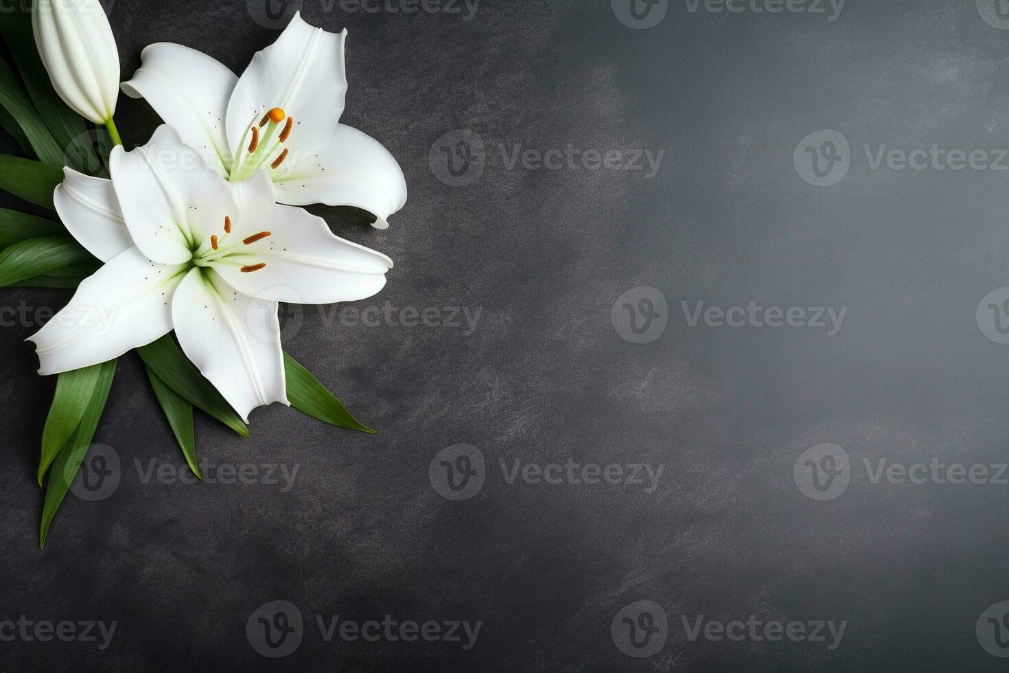 Beautiful white lily flowers on black background with copy space.Funeral Concept AI generated photo