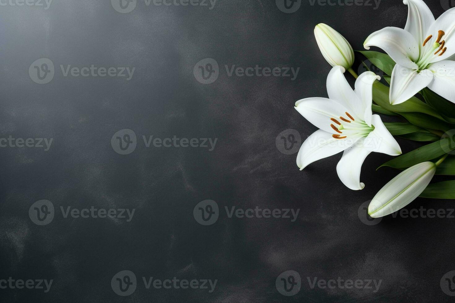 Beautiful white lily flowers on black background with copy space.Funeral Concept AI generated photo