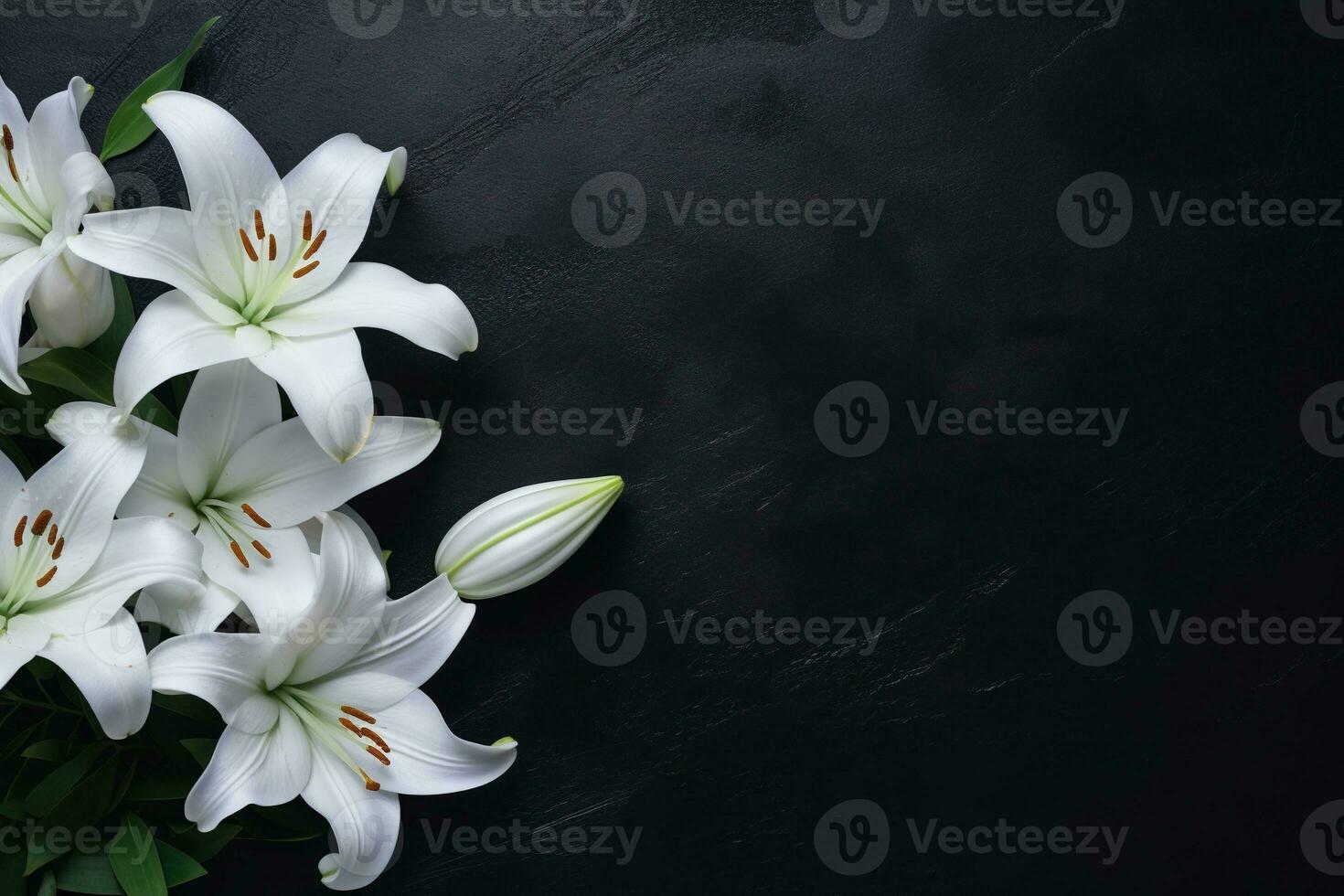 Beautiful white lily flowers on black background with copy space.Funeral Concept AI generated photo