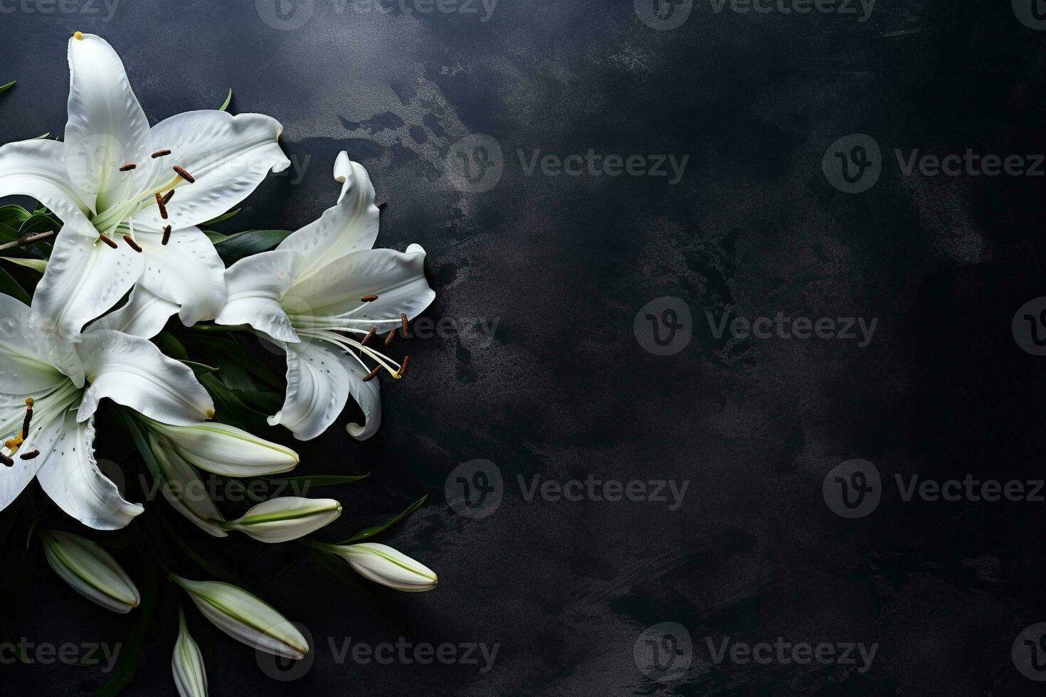 Beautiful white lily flowers on black background with copy space.Funeral Concept AI generated photo