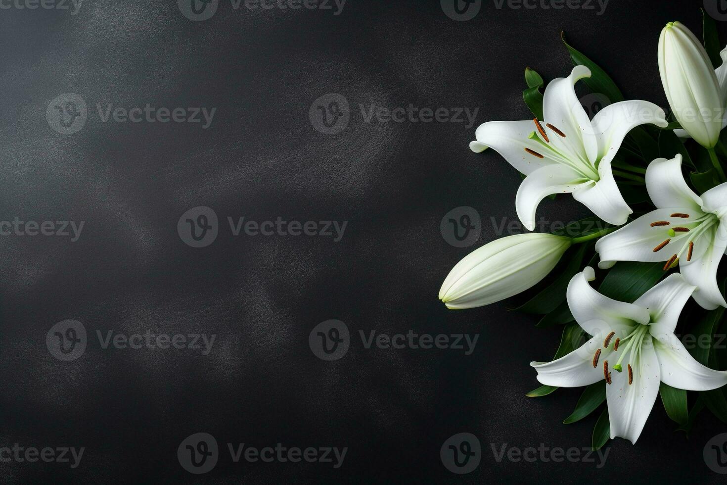Beautiful white lily flowers on black background with copy space.Funeral Concept AI generated photo
