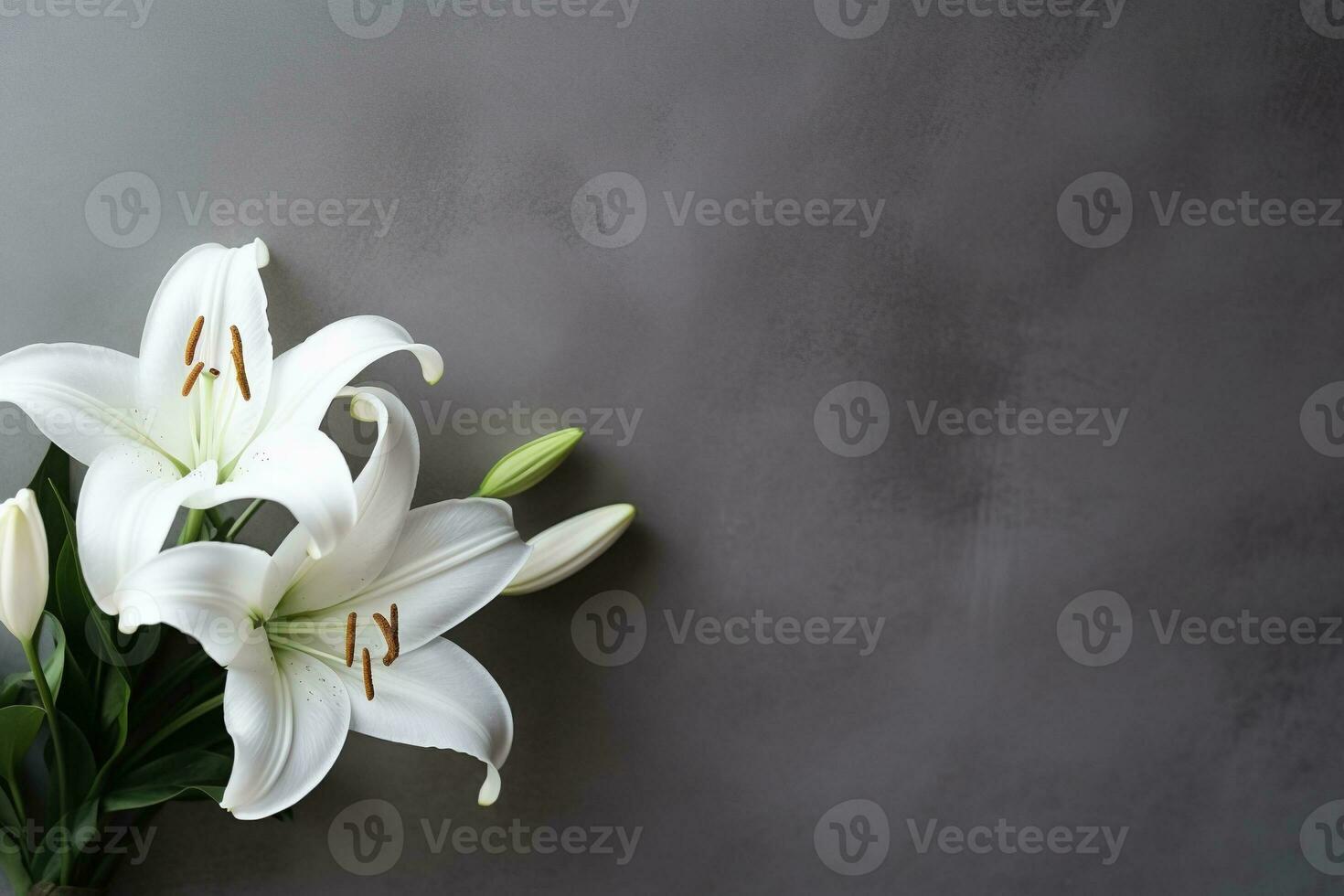 Beautiful white lily flowers on black background with copy space.Funeral Concept AI generated photo