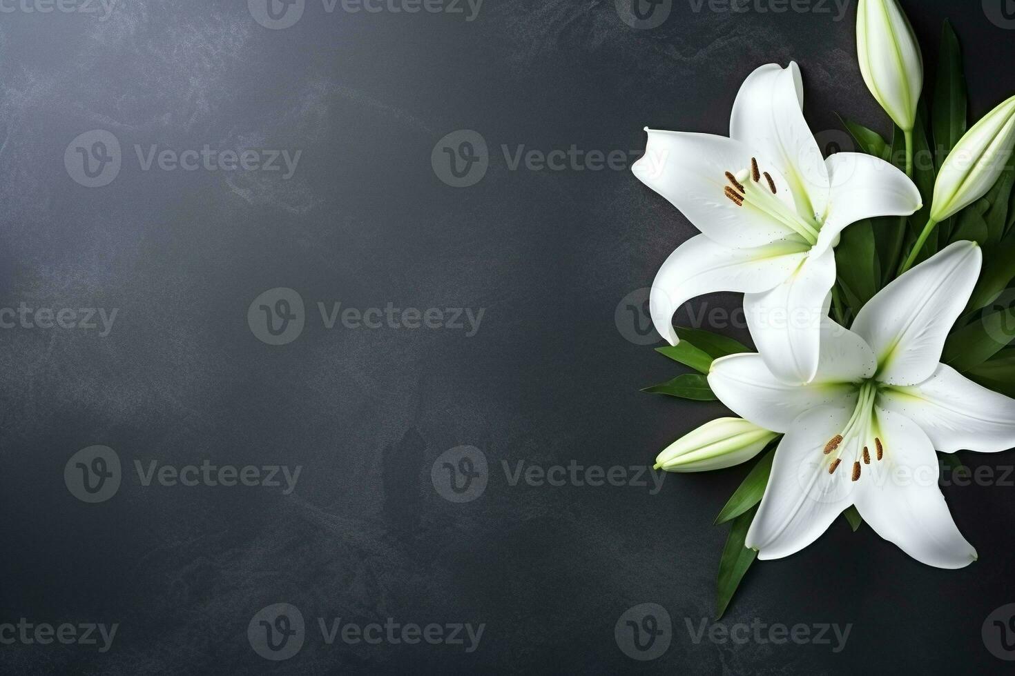 Beautiful white lily flowers on black background with copy space.Funeral Concept AI generated photo