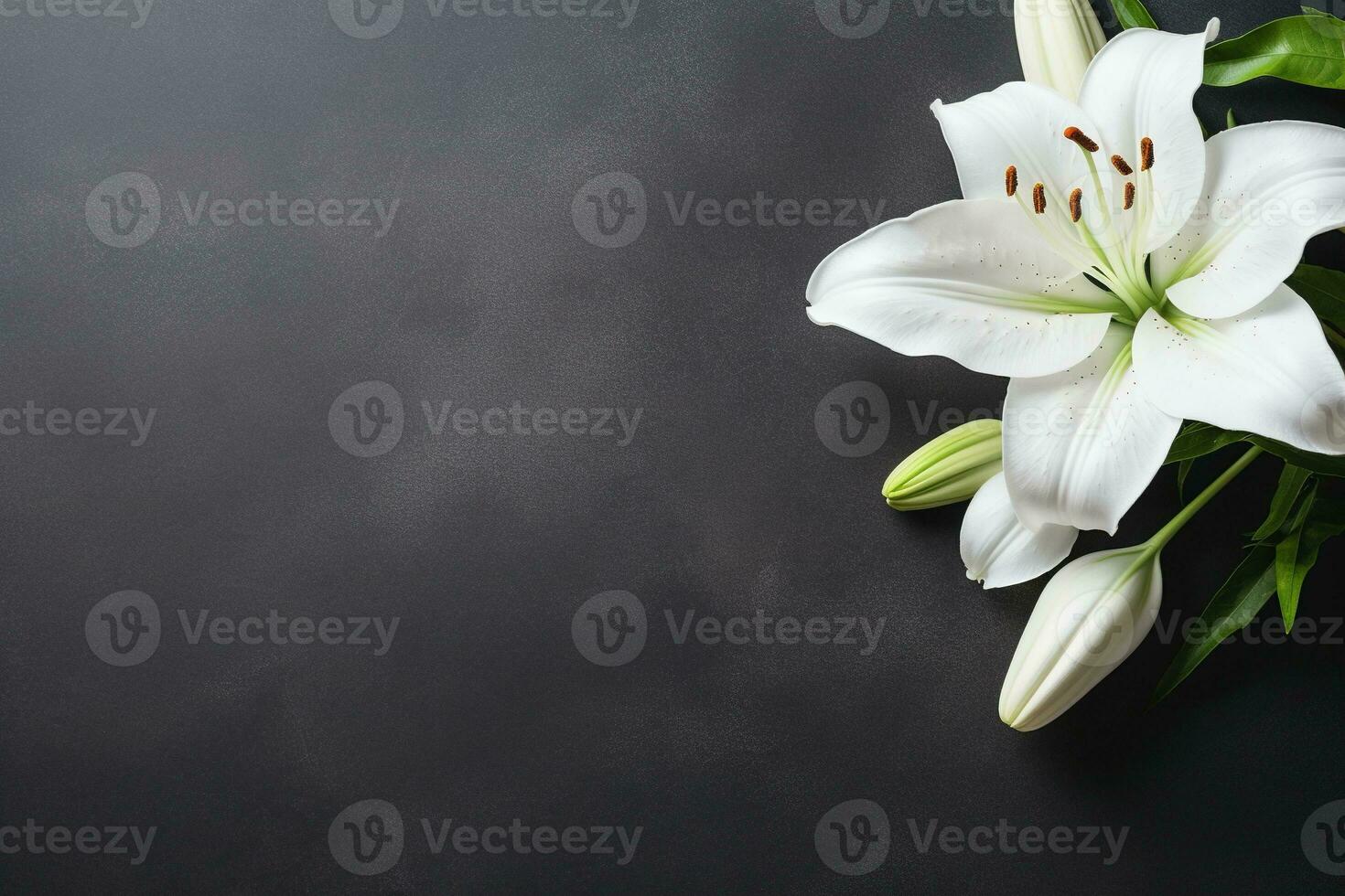 Beautiful white lily flowers on black background with copy space.Funeral Concept AI generated photo