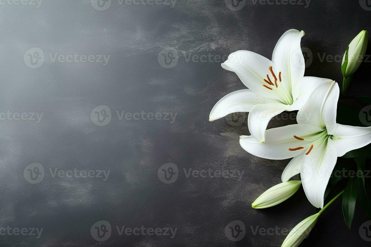 Beautiful white lily flowers on black background with copy space.Funeral Concept AI generated photo