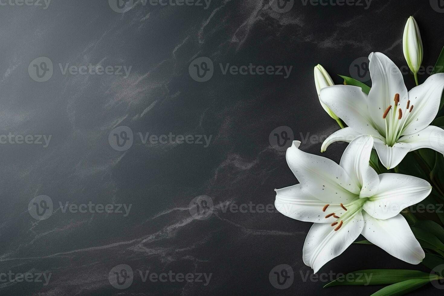 Beautiful white lily flowers on black background with copy space.Funeral Concept AI generated photo