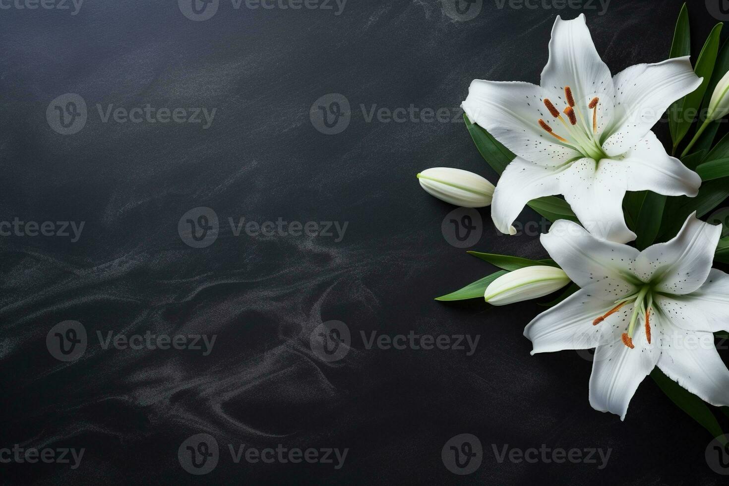 Beautiful white lily flowers on black background with copy space.Funeral Concept AI generated photo