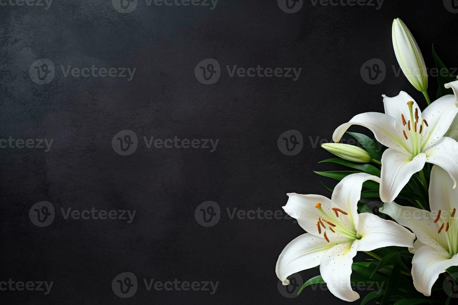 Beautiful white lily flowers on black background with copy space.Funeral Concept AI generated photo