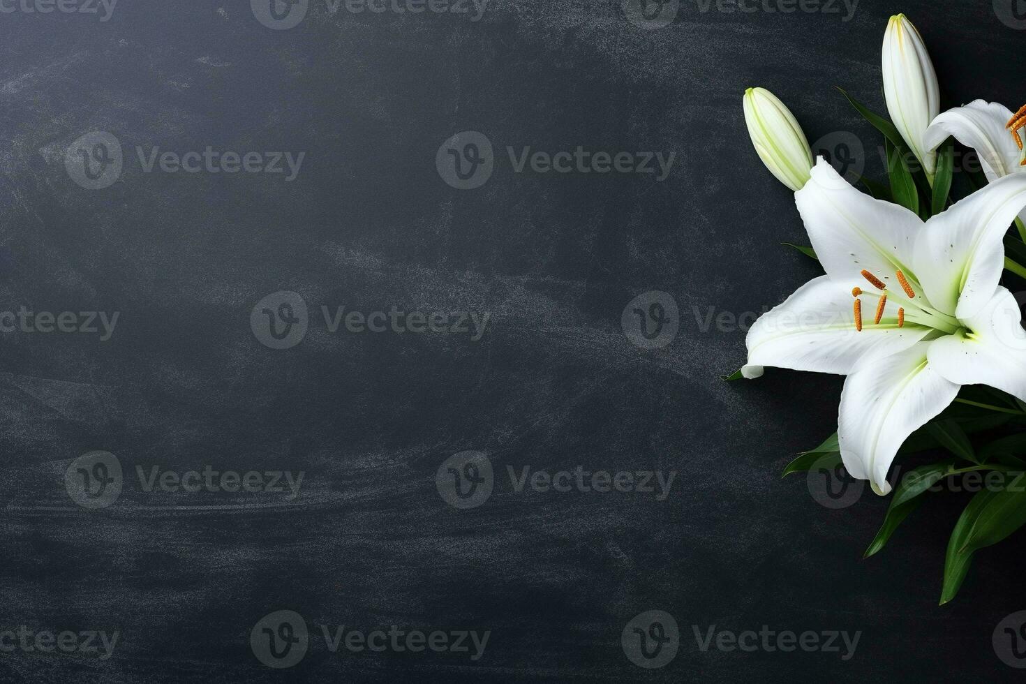 Beautiful white lily flowers on black background with copy space.Funeral Concept AI generated photo