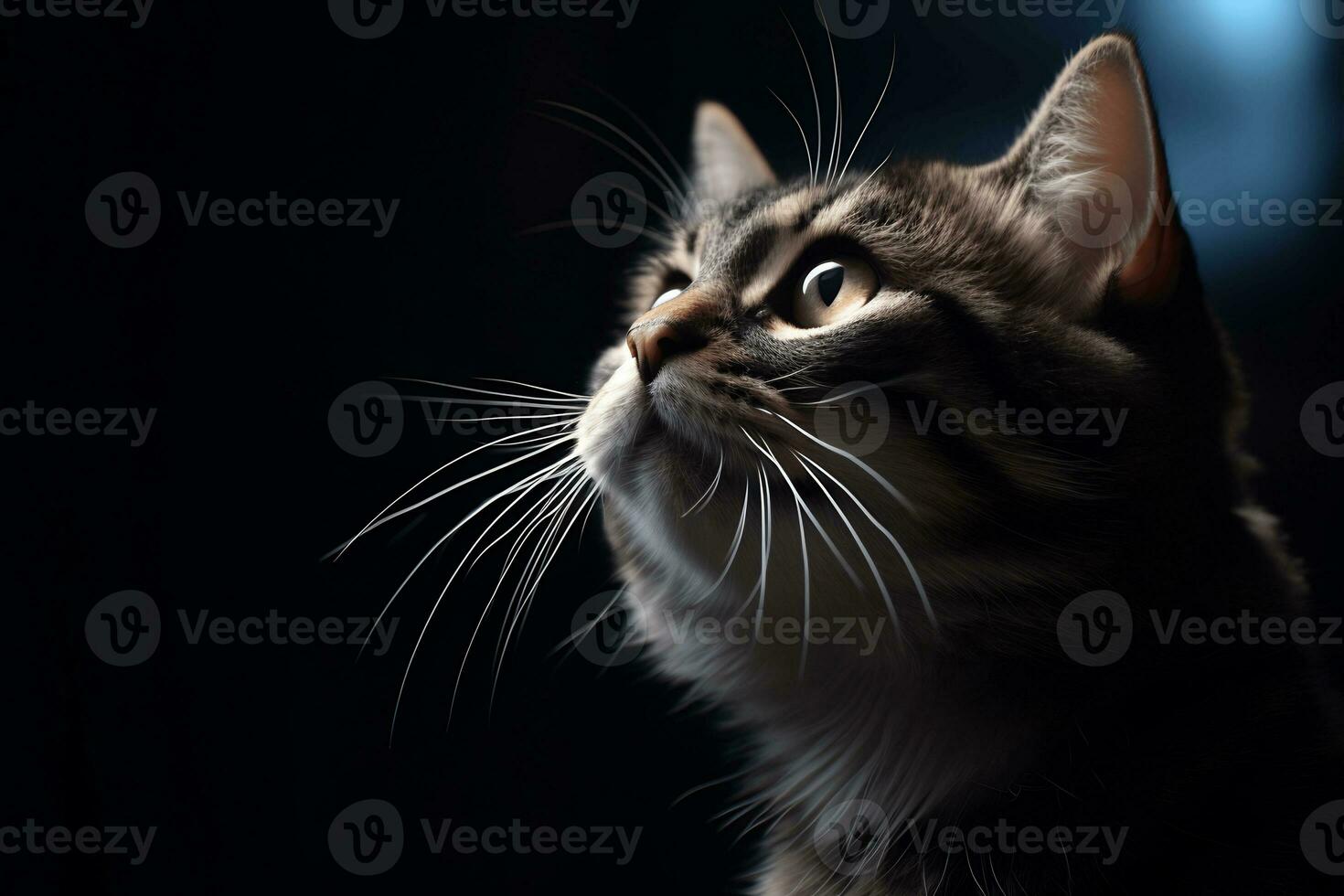 playful cat perfect face and eyes highly detailed AI Generative photo