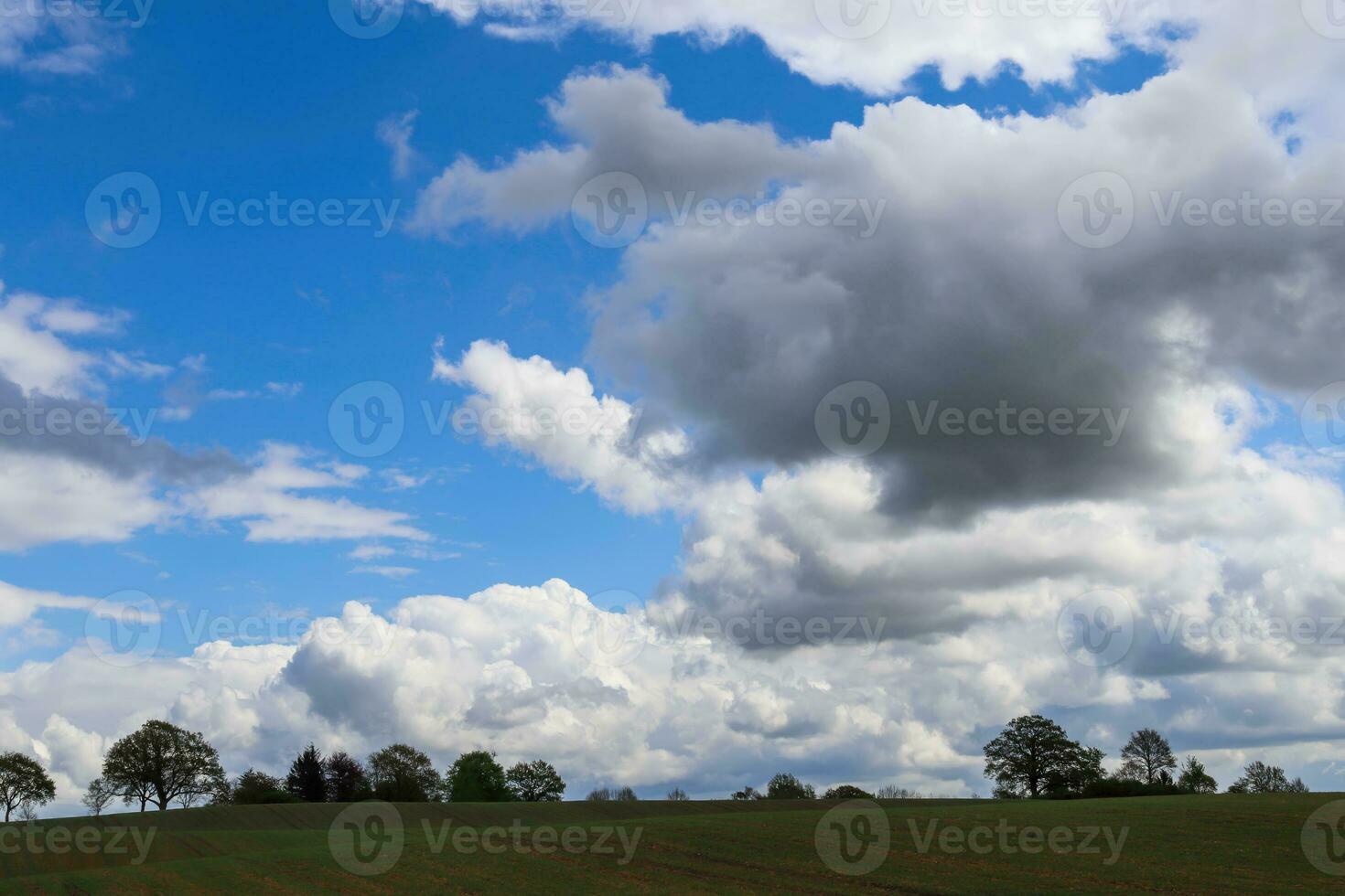 View of an agriculturally used field with green grass. photo