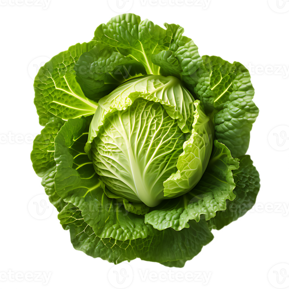 fresh green cabbage, ai generative 30801816 PNG