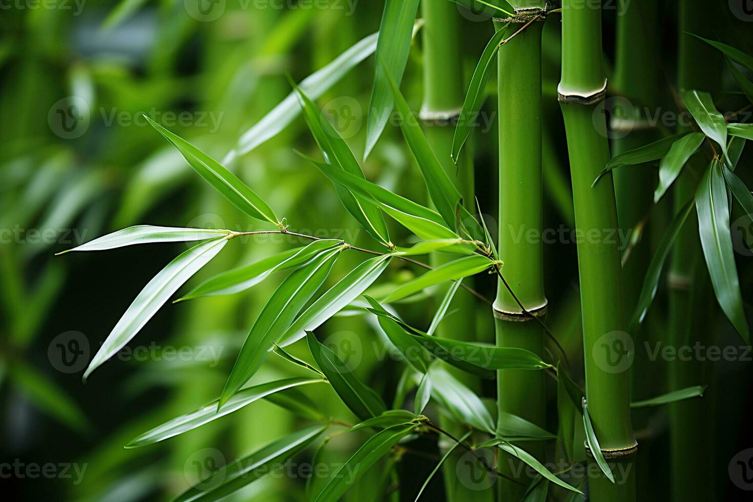 verde bambú naturaleza antecedentes. ai generado foto