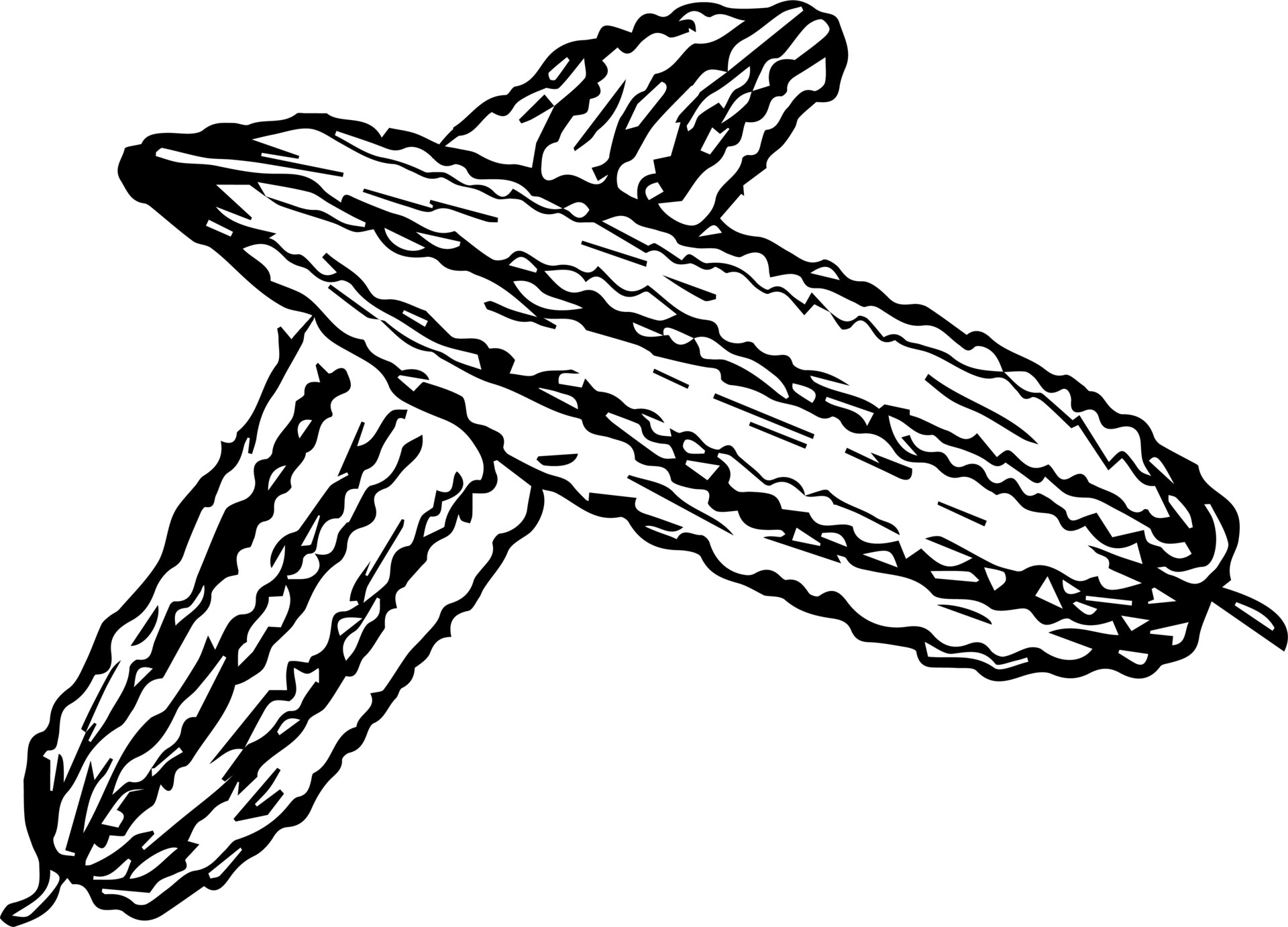 Hand Drawn Bitter Melon 30804558 PNG hand-drawn-bitter-melon-30804558-png