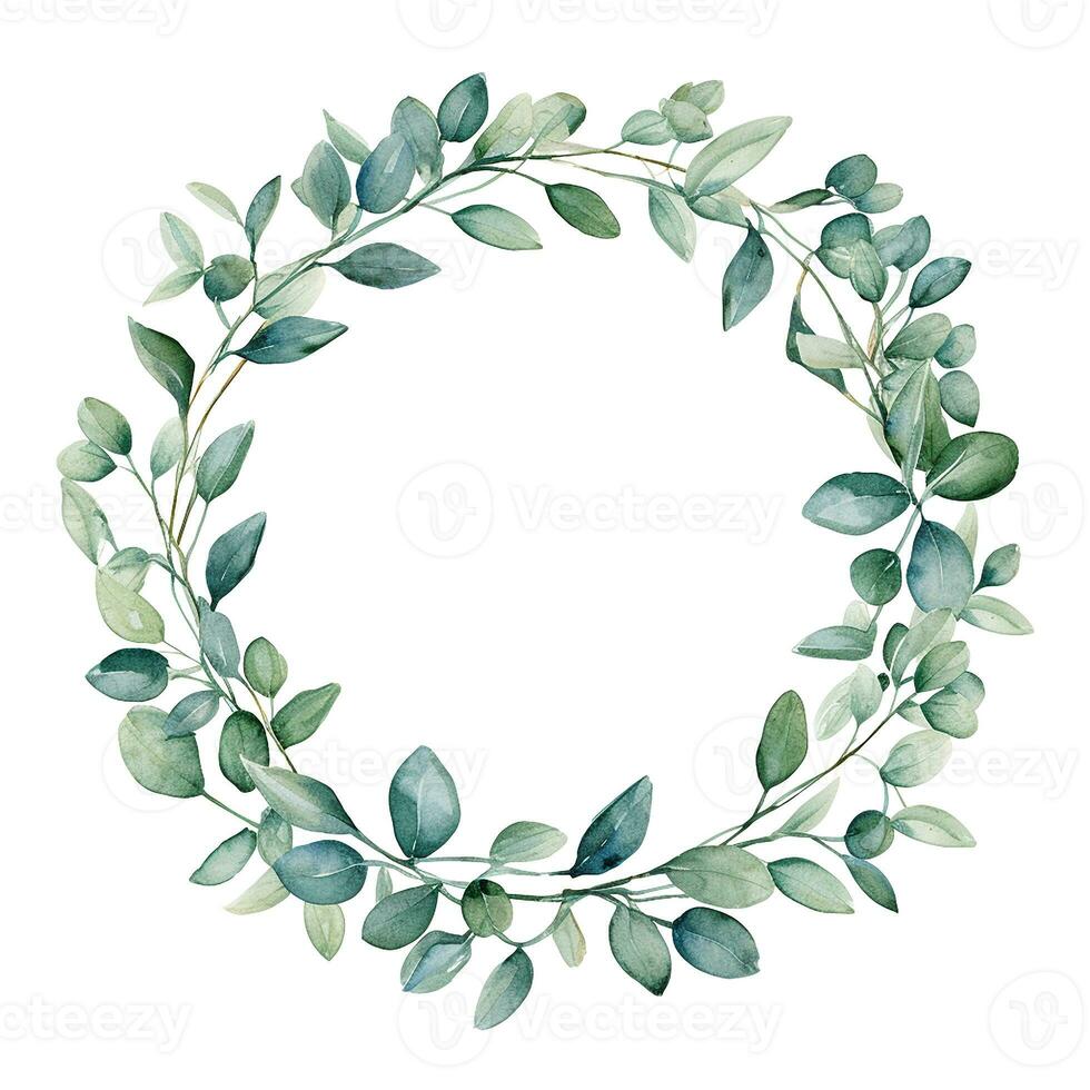 Watercolor drawing, wreath of eucalyptus leaves, round frame photo