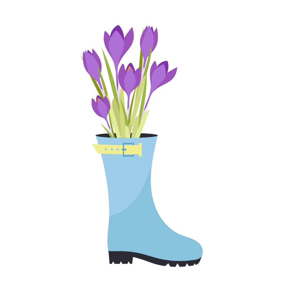 azafrán flores en un azul caucho bota. jardín decoración. vector
