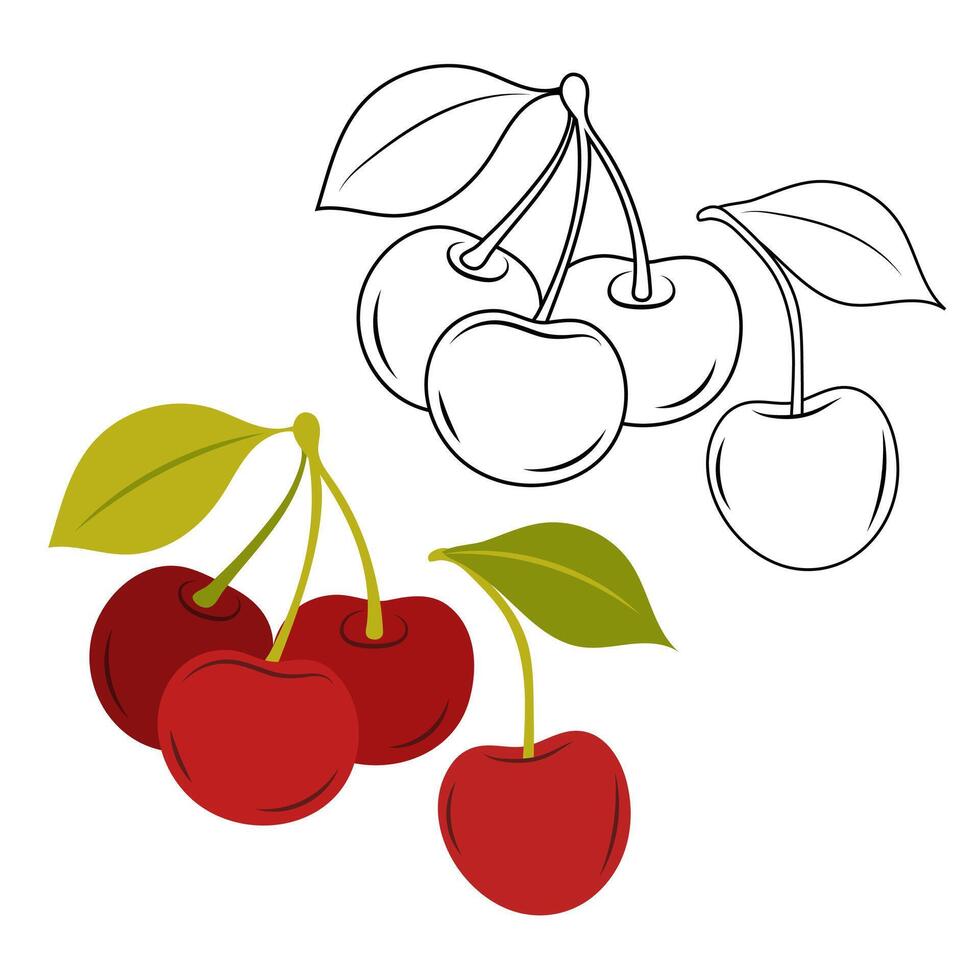 Doodle illustration of sweet cherry. Red ripe cherry. Summer cherry fruit on a white background. vector