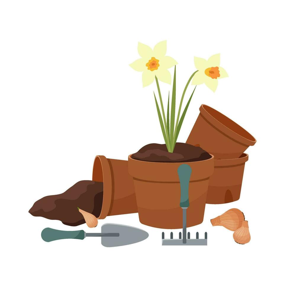 Daffodils in a clay pot. Pots with earth and garden tools. An inverted pot with spilled earth. Garden tools. Bulbs of narcissus for planting vector