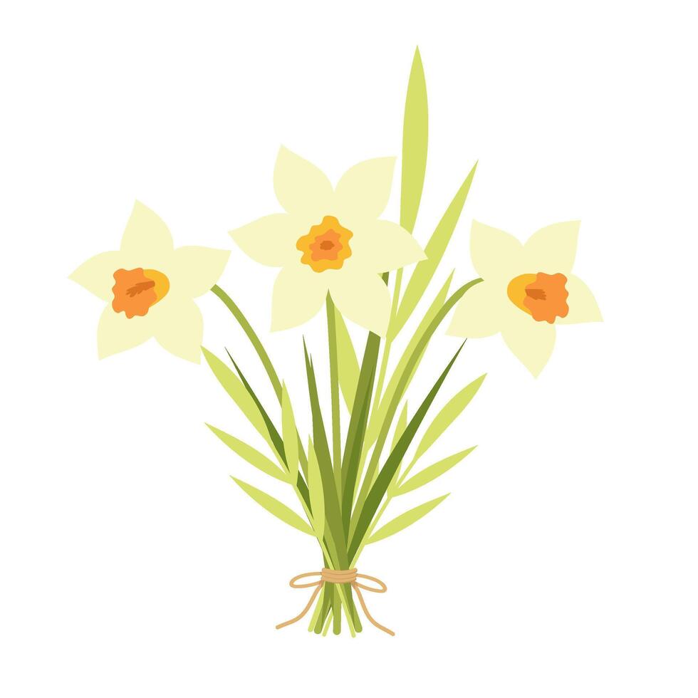 Bouquet of yellow daffodils tied with a rope. Spring flowers illustration for decor, postcard, print vector