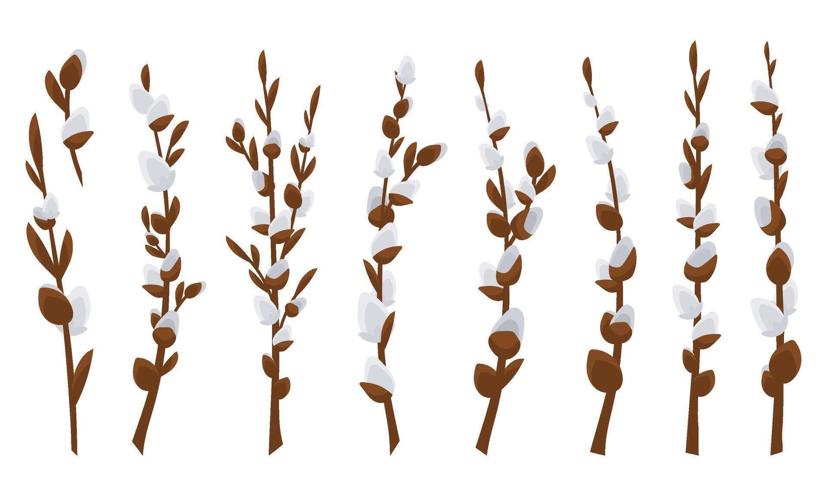 Big set of willow branches. vector