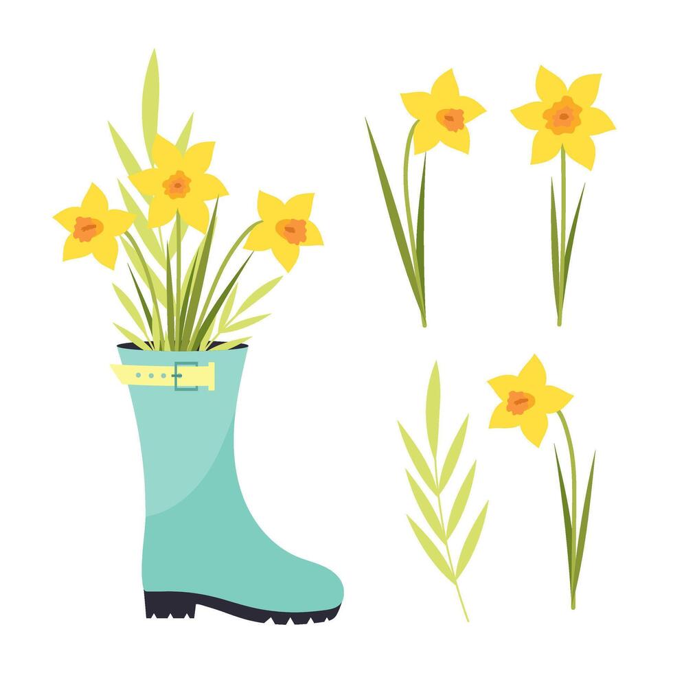 Daffodils. Set of decorative elements for compositions. Spring flowers daffodils in a rubber boot. vector