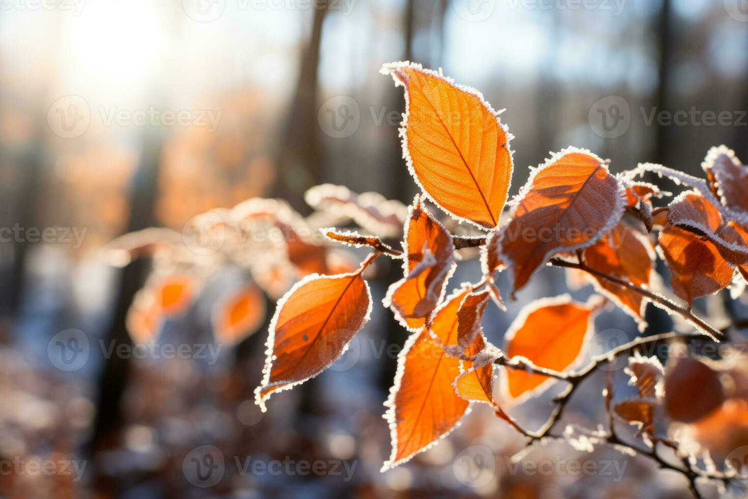 Vibrant nature adorned with frost covered bright orange leaves in winter photo