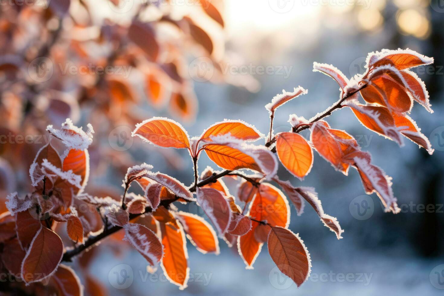 Vibrant nature adorned with frost covered bright orange leaves in winter photo
