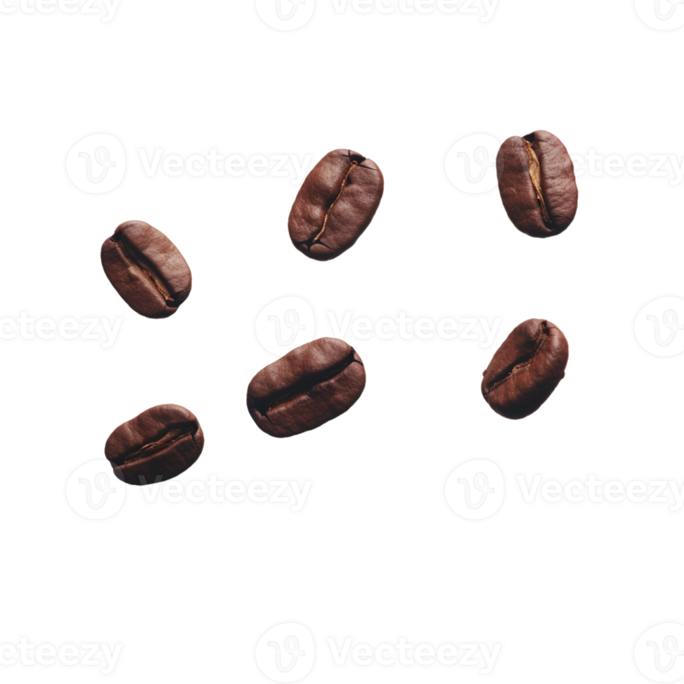 Coffee bean no background png