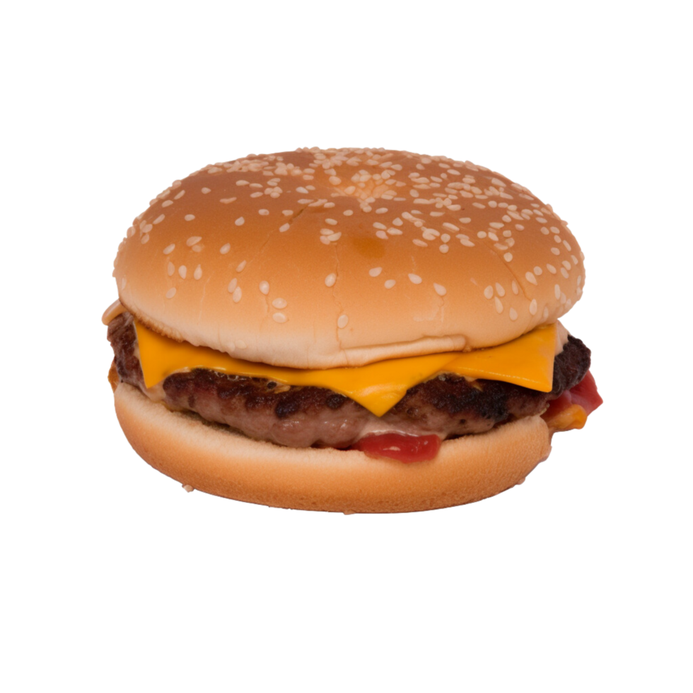 Burger délicieux déchet nourriture png