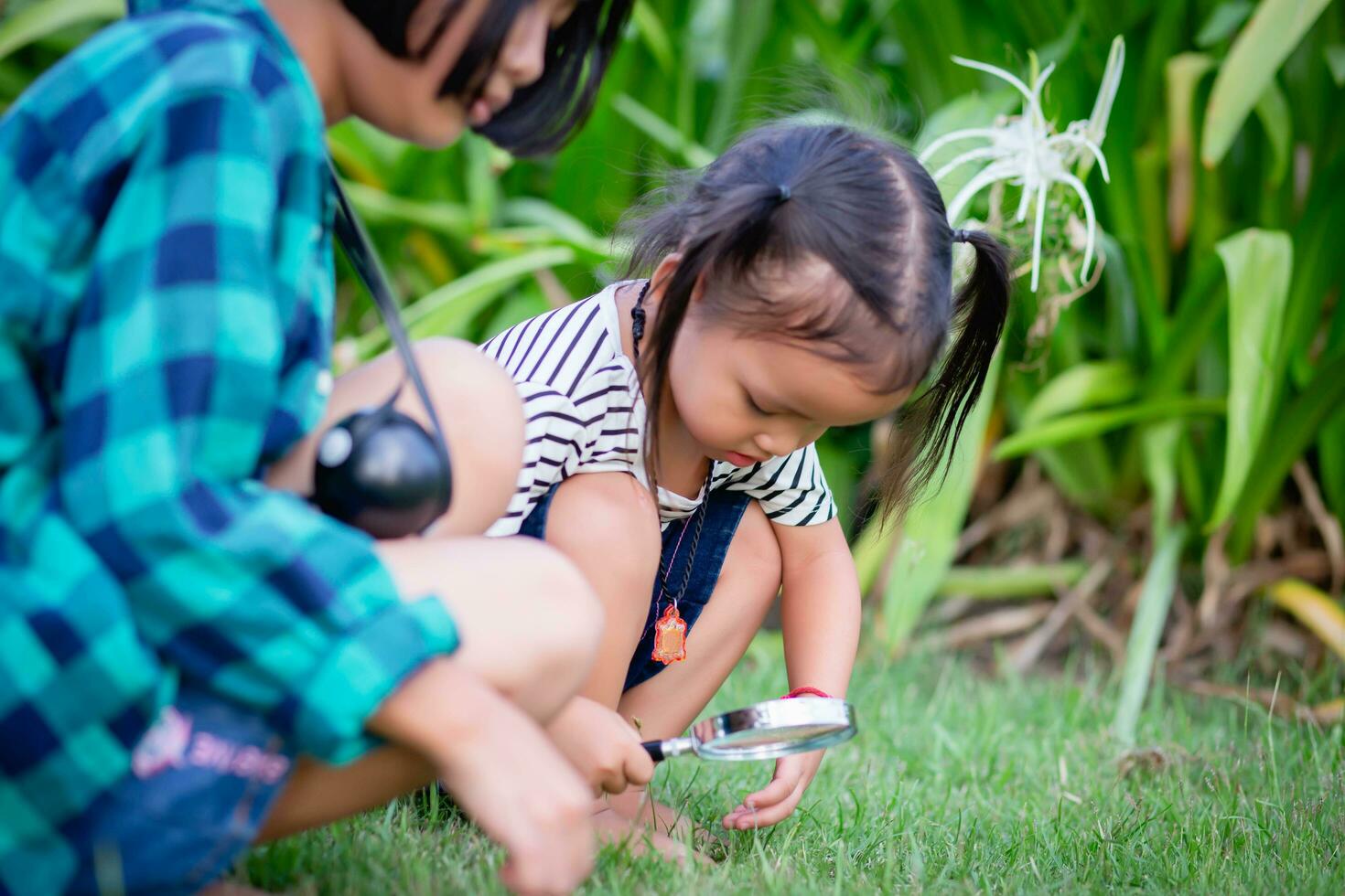 Asian little girl is using magnifying glass to play in the park.SSTKHome photo